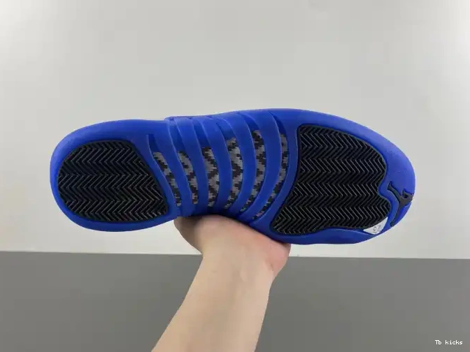 Reps TBK 12 CT8013-140 Jordan Blueberry Air 0604